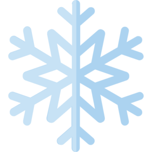 snowflake room logo